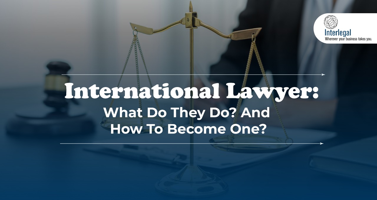 international lawyer: what do they do? and how to become one?
